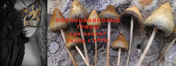 альфа пвп Краснотурьинск