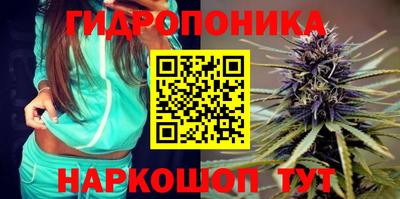 мяу мяу мука Бийск