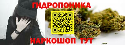 мяу мяу мука Бийск