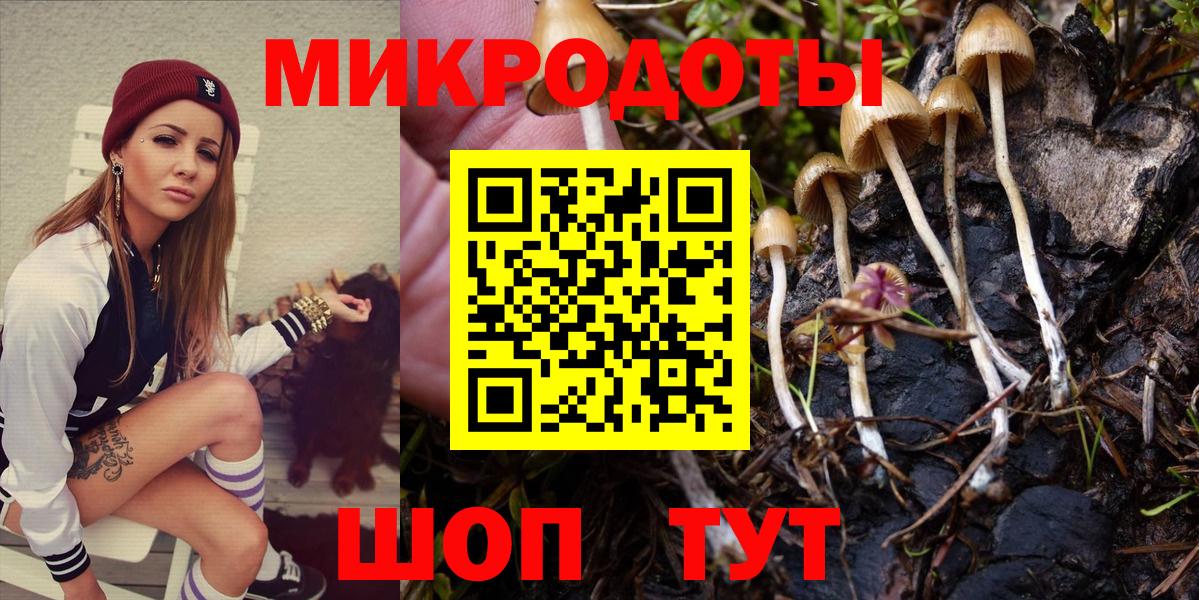 Псилоцибиновые грибы Psilocybine cubensis Домодедово