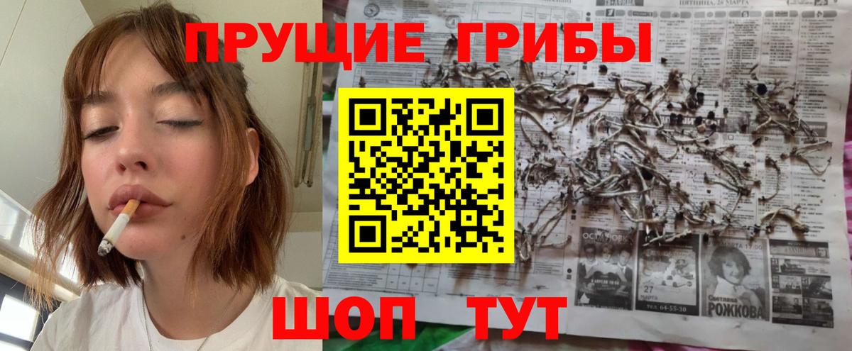 Псилоцибиновые грибы ЛСД  Вход с VPN  Домодедово 